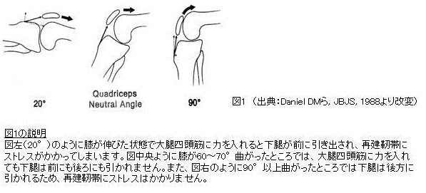 ひまわりさん　専用！！　 膝ACL再建術前後の実践的アスレティックリハ  全4巻