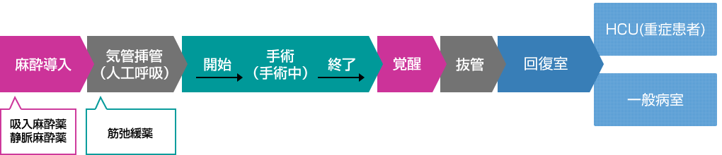 麻薬導入→気管挿管（人工呼吸）→手術→覚醒→抜管→回復室→HCU（重症患者）or 一般病室